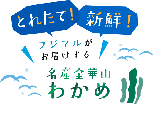 とれたて！新鮮！フジマルがお届けする名産金華山わかめ